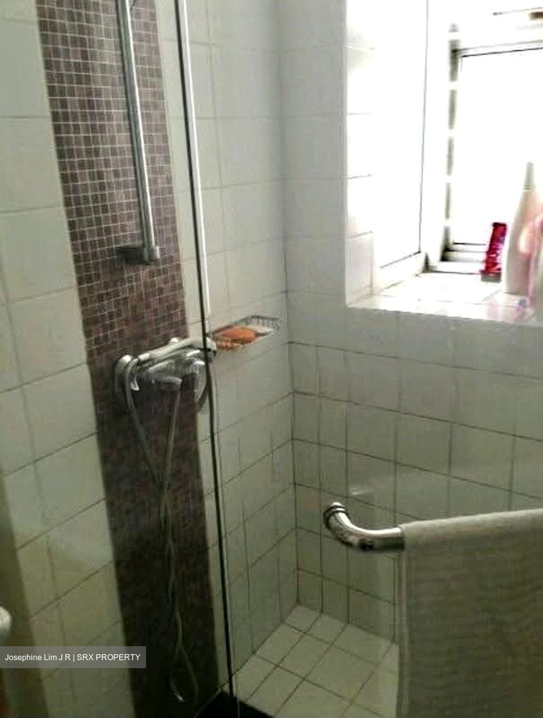 Dahlia Park Condominium (D17), Condominium #606474361
